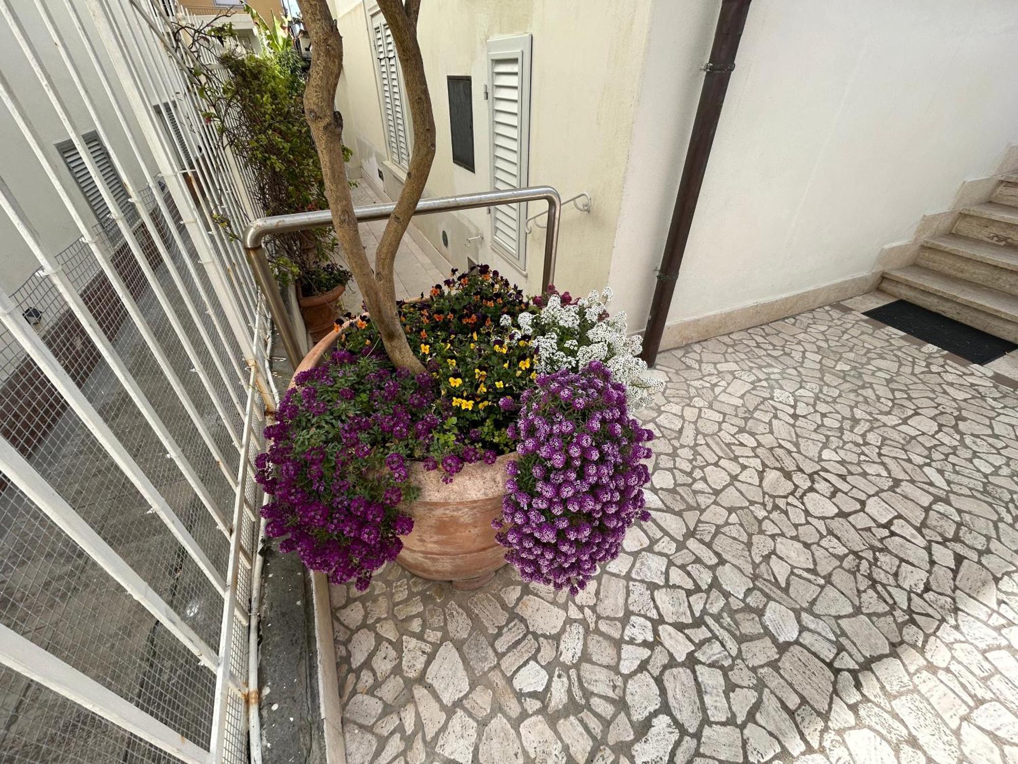 Apartamento Casa Rosi Vada Exterior foto